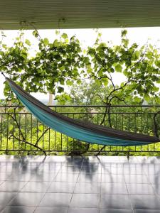 a hammock hanging from a fence with a tree at Дом-House в Vadul lui Voda in Vadul lui Vodă