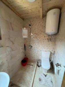 a bathroom with a toilet and a sink at Lindi & Learti Apartments in Donji Štoj