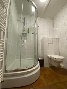 y baño con ducha y aseo. en Adorable two bedroom bungalow C7 next to hotel. en Garderen