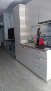 Η κουζίνα ή μικρή κουζίνα στο Studio Alezzi Beach Resort Ely