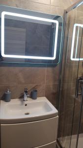 a bathroom with a sink and a mirror at Studio Alezzi Beach Resort Ely in Năvodari