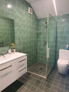 W łazience znajduje się prysznic, umywalka i toaleta. w obiekcie The Bushranger Hideaway w mieście Midginbil