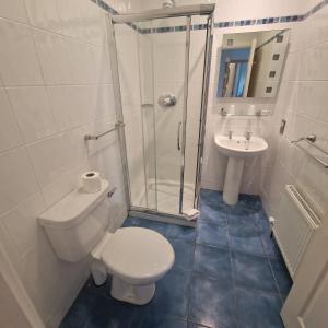 a bathroom with a toilet and a shower and a sink at West View Accomodation in Louisburgh