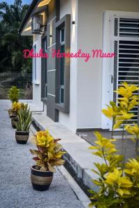a row of potted plants in front of a house at Dhuha Homestay Muar in Muar +13 photos