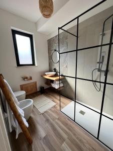 uma casa de banho com um WC e uma cabina de duche em vidro. em Al Vicolo Stretto em Brancaleone Marina