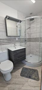 La salle de bains est pourvue de toilettes, d'un lavabo et d'une douche. dans l'établissement Dom Wypoczynkowy Oliwka, à Ustka