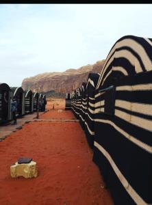 Gallery image of Wadi rum Rozana camp in Wadi Rum