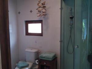 a bathroom with a shower and a toilet and a window at La Chevallerie - Tranquil oasis in Isigny-le-Buat