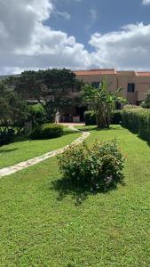 einen Garten mit einem Blumenstrauch und einem Gebäude in der Unterkunft Pelosa - Capo Falcone Excellent Apartment in Stintino