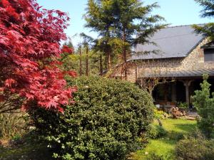 a house with a red tree in front of a yard at La Chevallerie - Tranquil oasis in Isigny-le-Buat