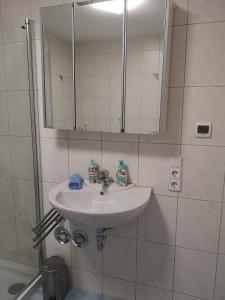 a bathroom with a sink and a mirror at 3 Zi Ferienwohnung mit Erholungsfaktor Schwarzwald Bodensee in Aldingen