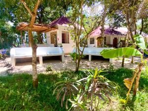 Zahrada ubytování Kingstone lodge zanzibar