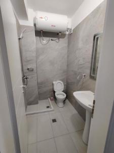 Unique في Gramsh: حمام صغير مع مرحاض ومغسلة