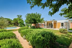 Zahrada ubytování Camping Park Umag Mobile Homes