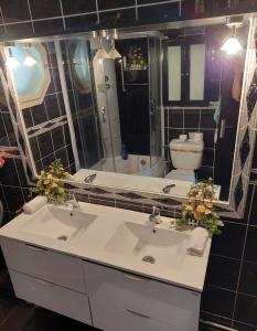 a bathroom with a sink and a toilet and a mirror at Casa Elisei in Asău +7 photos