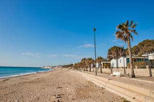a beach with palm trees and the ocean on a clear day at Alannia Costa Dorada in Platja de l’Almadrava