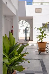 un pasillo con macetas en un edificio en Cervantes Studios 6, en Sevilla