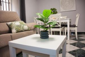 - un salon avec une table et une plante dans l'établissement Teniente Bago, à Jaén