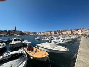 Er liggen boten in een haven. bij Apartment Luka in Rovinj