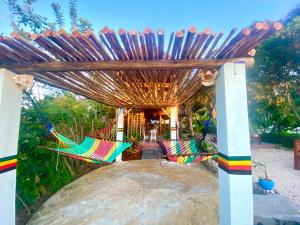 Zahrada ubytování Kingstone lodge zanzibar