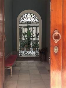 un couloir avec une fenêtre agrémentée de plantes dans l'établissement CASA PALACIO LAS MARÍAS by Andalusian Glory, à Cadix