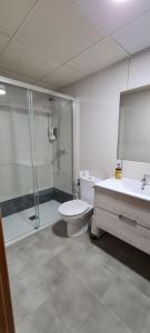 a bathroom with a shower and a toilet and a sink at El Llano 3 in Puebla de Alfindén