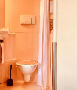 uma casa de banho com um WC e uma cortina de chuveiro em Première Classe Chateauroux - Saint Maur em Saint-Maur