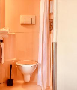 La salle de bains est pourvue de toilettes et d'un rideau de douche. dans l'établissement Première Classe Chateauroux - Saint Maur, à Saint-Maur