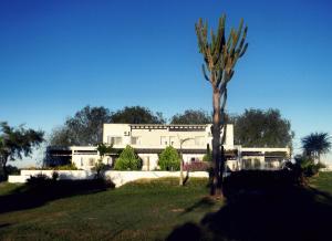 a palm tree in front of a white building at Complejo Colon Village in Colón
