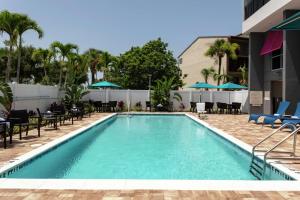 达尼丁Hampton Inn Dunedin, Fl的酒店泳池，配有椅子和遮阳伞