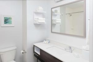 Hampton Inn Dunedin, Fl的一间浴室
