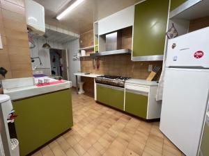 a kitchen with green cabinets and a white refrigerator at Gran piso Terrassa centro rambla 5 habitaciones in Terrassa