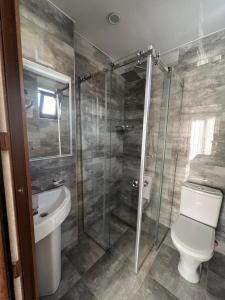 W łazience znajduje się prysznic, toaleta i umywalka. w obiekcie superior villas w mieście Tbilisi City