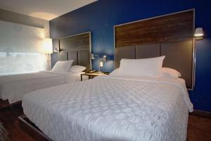 俄克拉何马城Tru By Hilton Oklahoma City Nw Expressway的一间有两张床和蓝色墙壁的酒店房间 更多18张照片