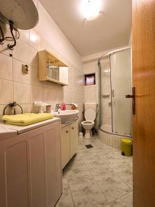 uma casa de banho com um lavatório, um WC e um chuveiro em Apartment Toni Privlačka 32 em Zadar