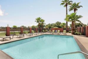 a swimming pool with lounge chairs and palm trees at Hampton Inn Houston Hobby Airport in Houston