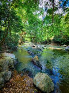 rzeka z kamieniami i drzewami oraz most w obiekcie Secret River Side Safari Lodge w mieście Udawalawe