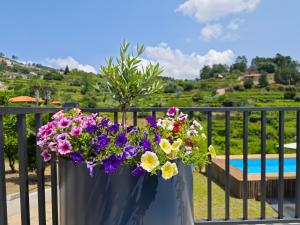 un vaso blu pieno di fiori su un balcone di Casa da Milinha - Villa with a Pool near Rio Douro a Santa Cruz do Douro
