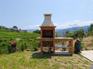 una chimenea de ladrillo en un patio con una montaña en el fondo en Casa da Milinha - Villa with a Pool near Rio Douro en Santa Cruz do Douro