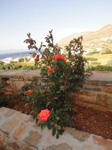 Φυσικό τοπίο κοντά σε αυτό το διαμέρισμα
