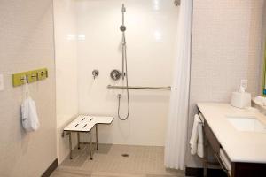 Hampton Inn and Suites Dundee的一间浴室