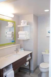 Hampton Inn and Suites Dundee的一间浴室