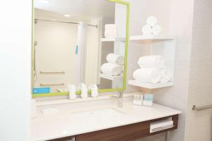 Hampton Inn and Suites Dundee的一间浴室