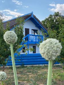 une maison bleue et blanche avec des fleurs devant elle dans l'établissement Casa Enisala, à Enisala