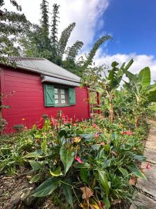 une maison rouge avec une fenêtre verte et quelques plantes dans l'établissement LES CASES METISSES, à Saint-Louis