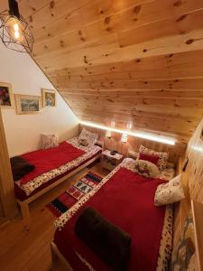 Habitación con 2 camas en una cabaña de madera en NV Mountain House en Žabljak