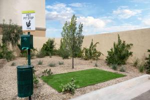 a small patch of green grass in front of a building at Home2 Suites By Hilton Phoenix Airport North, Az in Phoenix