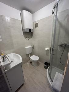a bathroom with a toilet and a sink and a shower at Holiday House Val with sea view in Pašman