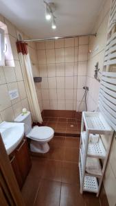 La salle de bains est pourvue de toilettes, d'un lavabo et d'une douche. dans l'établissement Bryza, à Trzęsacz