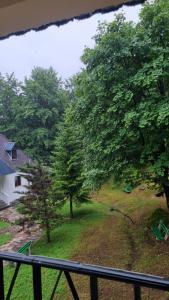 a view of a yard with trees and a house at Bujtina Te Grima in Theth